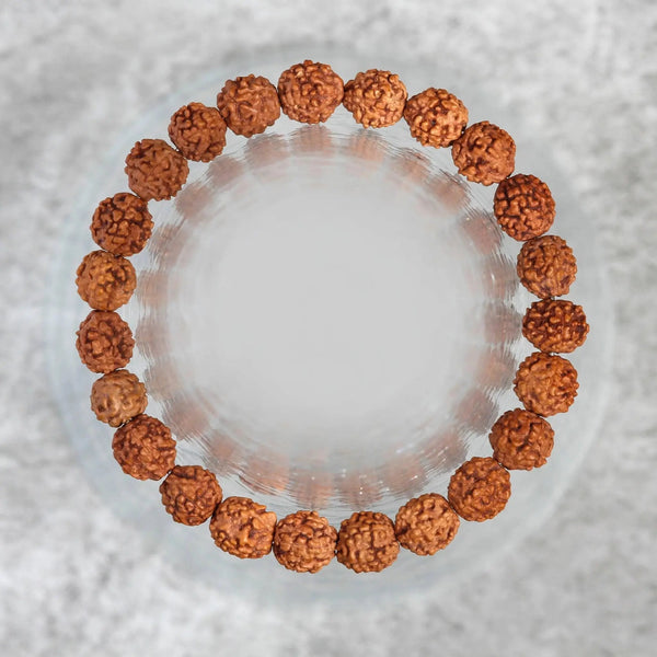 5 Mukhi Rudraksha Seed Stretch Bracelet by Brahmatells