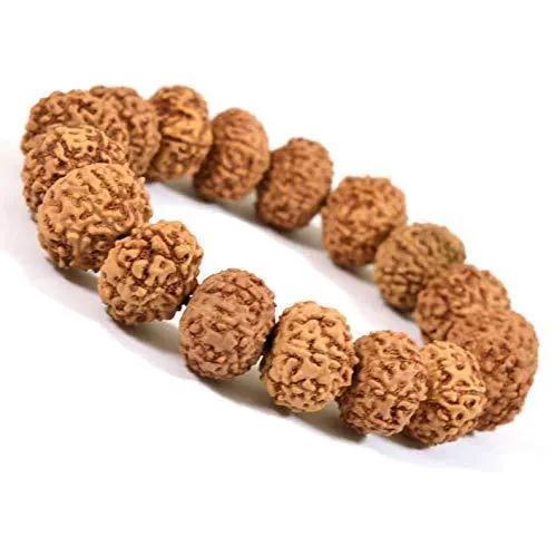 6 Mukhi Rudraksha Bracelet by Brahmatells
