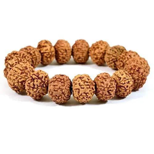 6 Mukhi Rudraksha Bracelet by Brahmatells