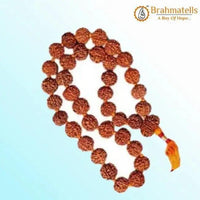6 Mukhi Rudraksha Mala 108 Beads for Meditation | Brahmatells Spiritual Jewelry by Brahmatells