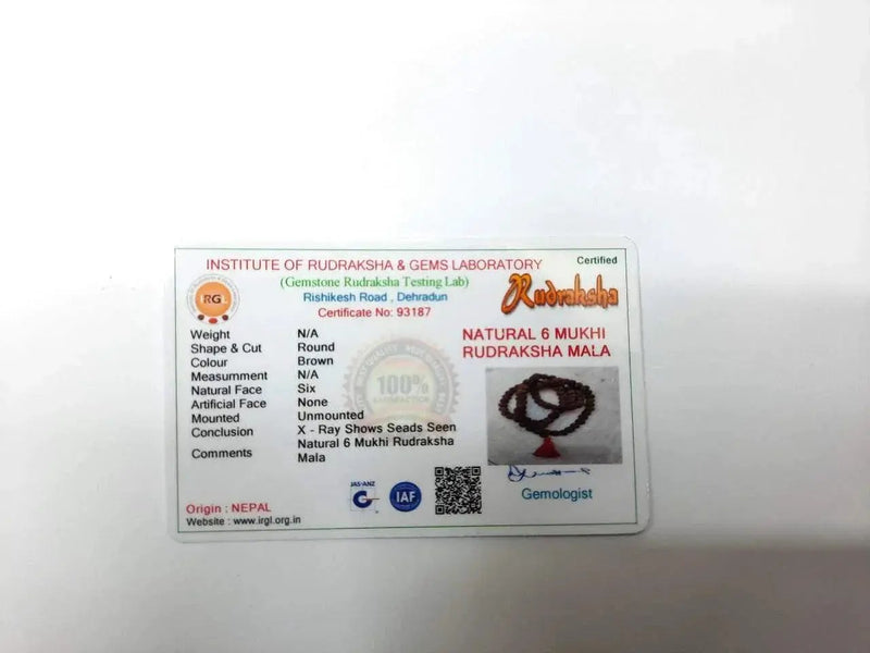 6 Mukhi Rudraksha Mala 108 Beads for Meditation | Brahmatells Spiritual Jewelry by Brahmatells