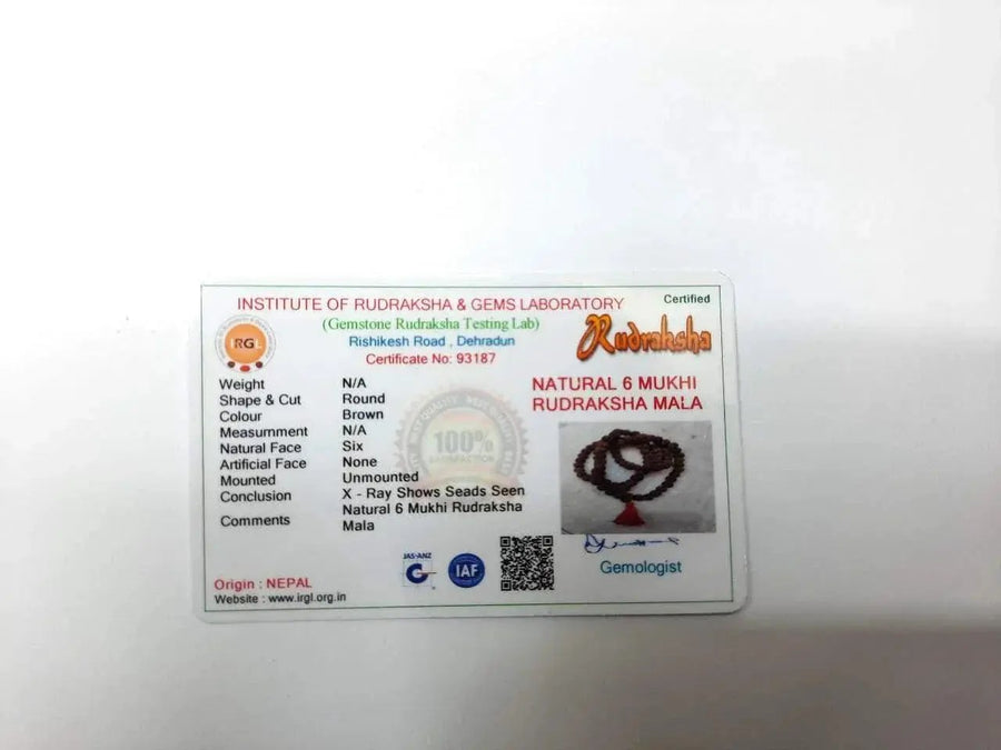 6 Mukhi Rudraksha Mala 108 Beads for Meditation | Brahmatells Spiritual Jewelry by Brahmatells