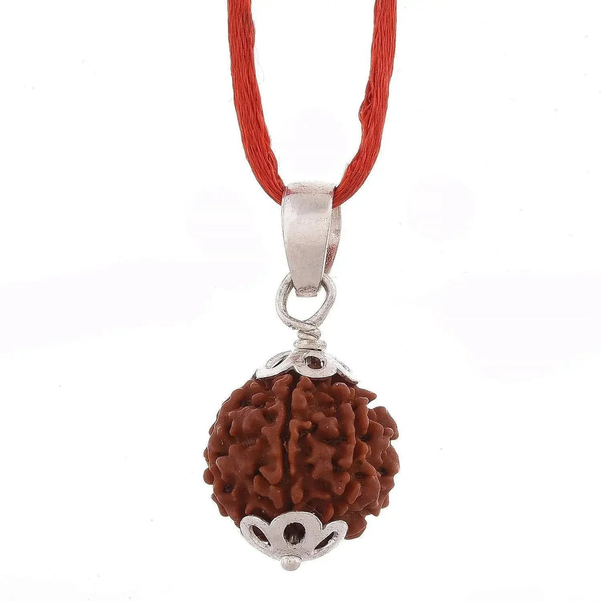 6 Mukhi Rudraksha Pendant: Lord Kartikeya's Blessing | Brahmatells by Brahmatells