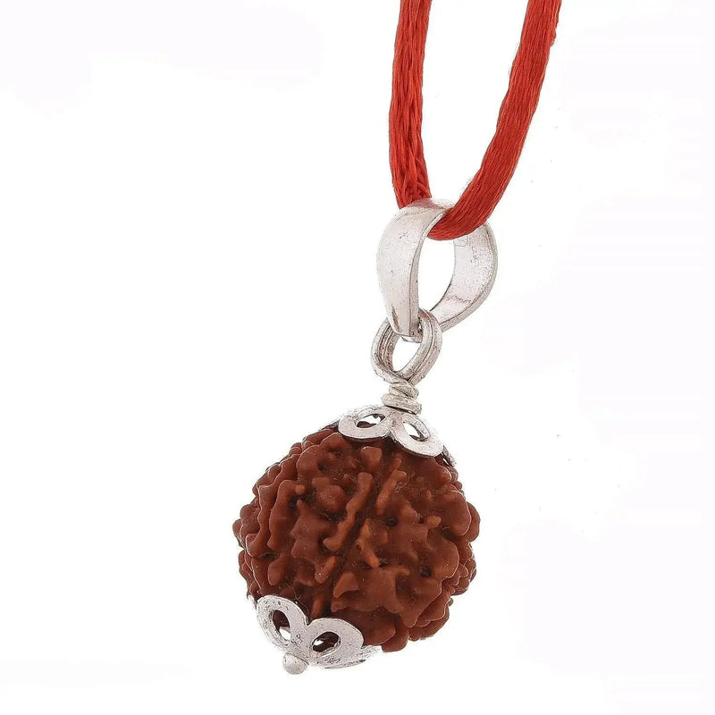 6 Mukhi Rudraksha Pendant: Lord Kartikeya's Blessing | Brahmatells by Brahmatells