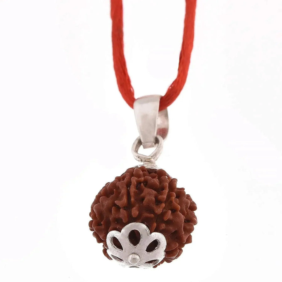 6 Mukhi Rudraksha Pendant: Lord Kartikeya's Blessing | Brahmatells by Brahmatells