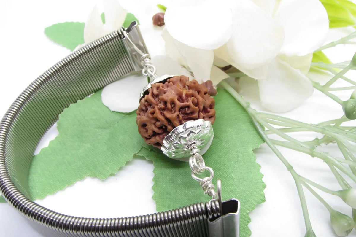 6 Mukhi Rudraksha Wisdom Bracelet | Brahmatells by Brahmatells