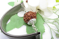 6 Mukhi Rudraksha Wisdom Bracelet | Brahmatells by Brahmatells