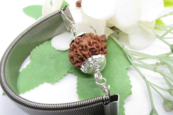 6 Mukhi Rudraksha Wisdom Bracelet | Brahmatells by Brahmatells