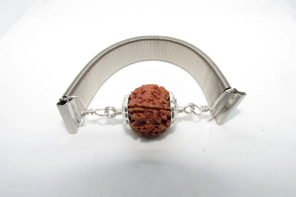 6 Mukhi Rudraksha Wisdom Bracelet | Brahmatells by Brahmatells