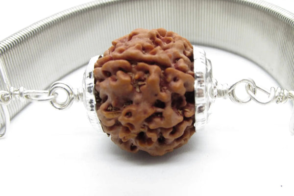 6 Mukhi Rudraksha Wisdom Bracelet | Brahmatells by Brahmatells