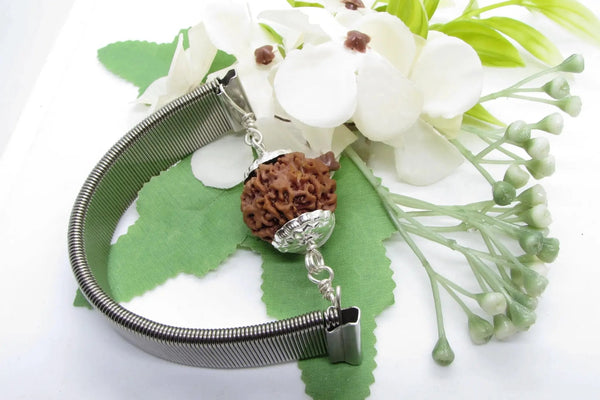 6 Mukhi Rudraksha Wisdom Bracelet | Brahmatells by Brahmatells