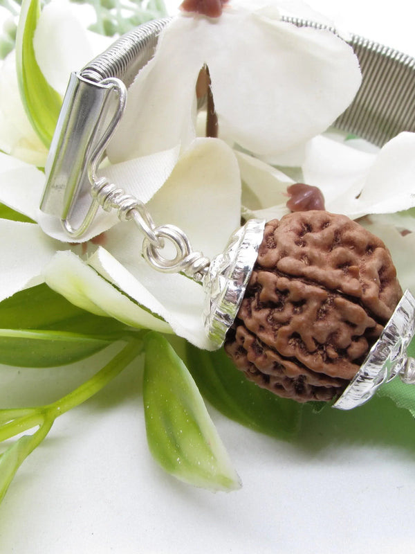 7 Mukhi Rudraksha Bracelet with Silver Pendant - Divine Blessings | Brahmatells by Brahmatells