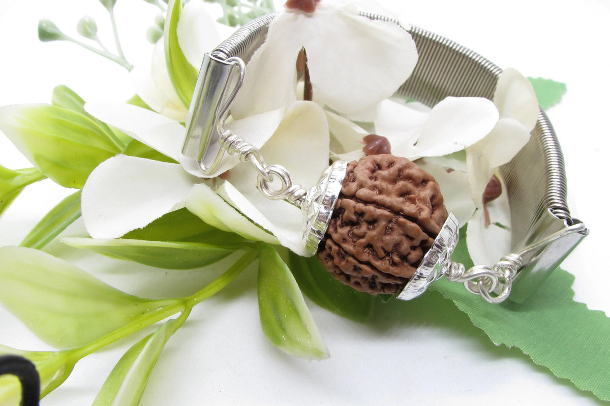 7 Mukhi Rudraksha Bracelet with Silver Pendant - Divine Blessings | Brahmatells by Brahmatells