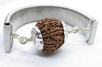 7 Mukhi Rudraksha Bracelet with Silver Pendant - Divine Blessings | Brahmatells by Brahmatells
