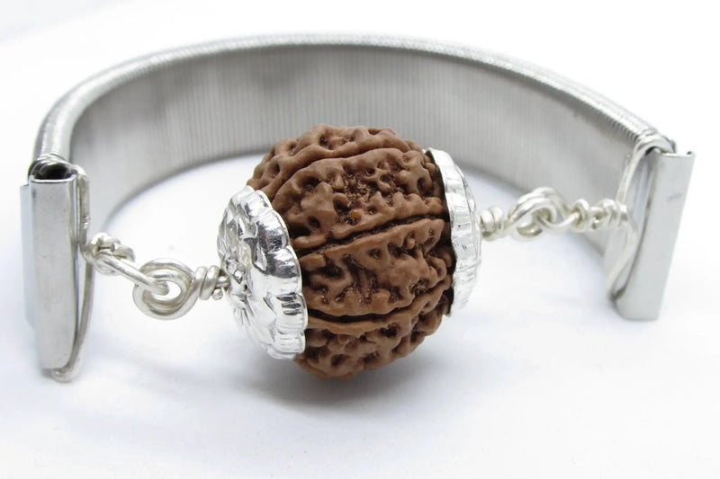 7 Mukhi Rudraksha Bracelet with Silver Pendant - Divine Blessings | Brahmatells by Brahmatells