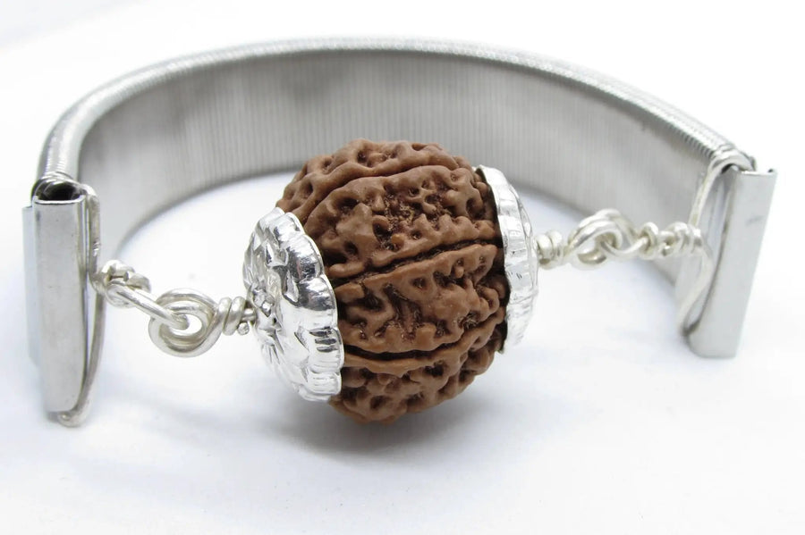 7 Mukhi Rudraksha Bracelet with Silver Pendant - Divine Blessings | Brahmatells by Brahmatells