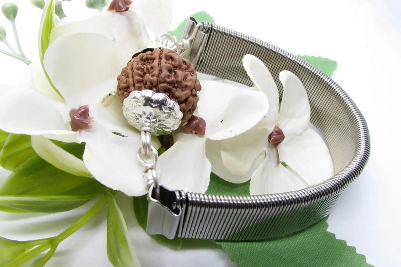 7 Mukhi Rudraksha Bracelet with Silver Pendant - Divine Blessings | Brahmatells by Brahmatells