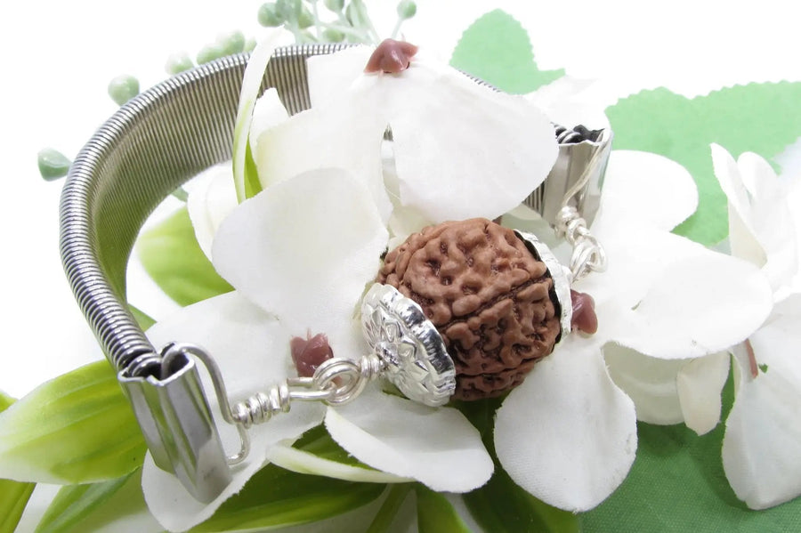 7 Mukhi Rudraksha Bracelet with Silver Pendant - Divine Blessings | Brahmatells by Brahmatells