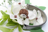 7 Mukhi Rudraksha Bracelet with Silver Pendant - Divine Blessings | Brahmatells by Brahmatells
