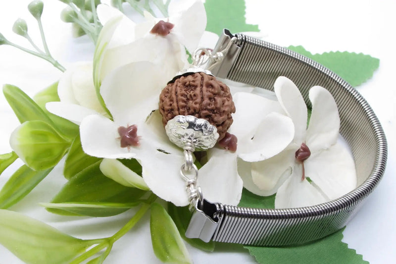 7 Mukhi Rudraksha Bracelet with Silver Pendant - Divine Blessings | Brahmatells by Brahmatells