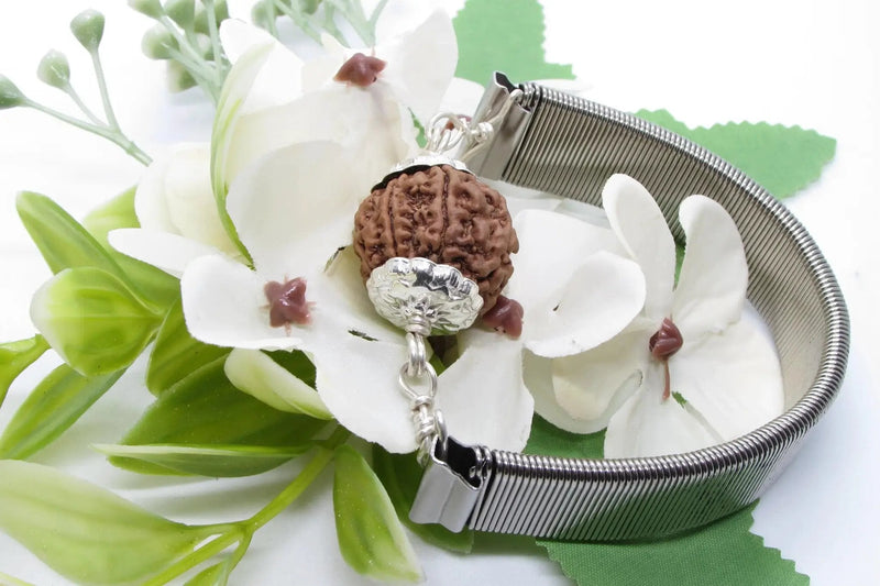 7 Mukhi Rudraksha Bracelet with Silver Pendant - Divine Blessings | Brahmatells by Brahmatells