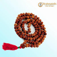 7 Mukhi Rudraksha Mala 108 Beads - Prosperity & Spiritual Growth | Brahmatells by Brahmatells