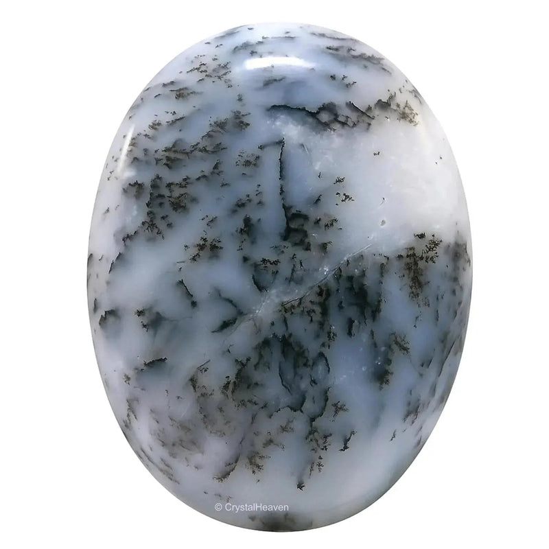 Brahmatells' AAA Grade Agate Palm Stones by Brahmatells