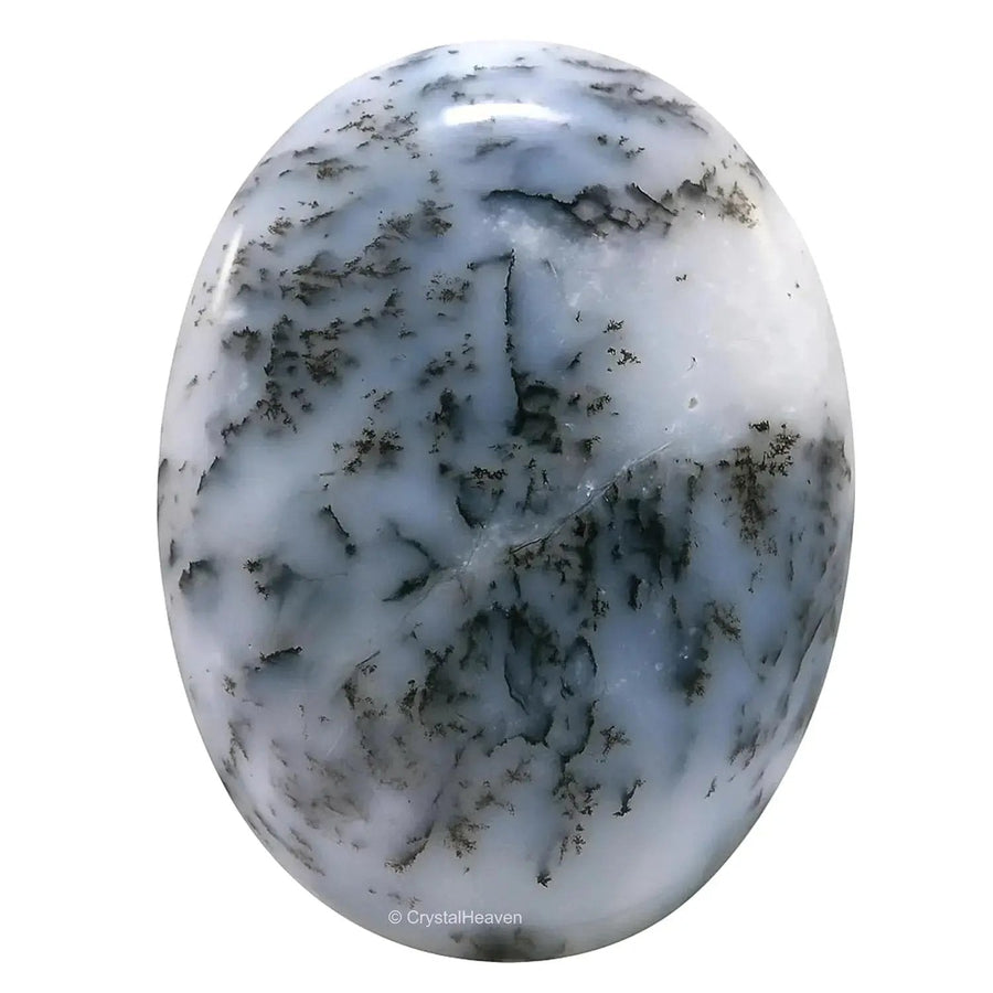 Brahmatells' AAA Grade Agate Palm Stones by Brahmatells