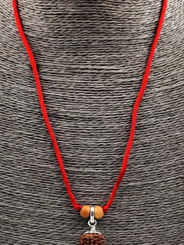 Seven Mukhi Rudraksha Silver Pendant - Unlock Prosperity & Health | Brahmatells by Brahmatells
