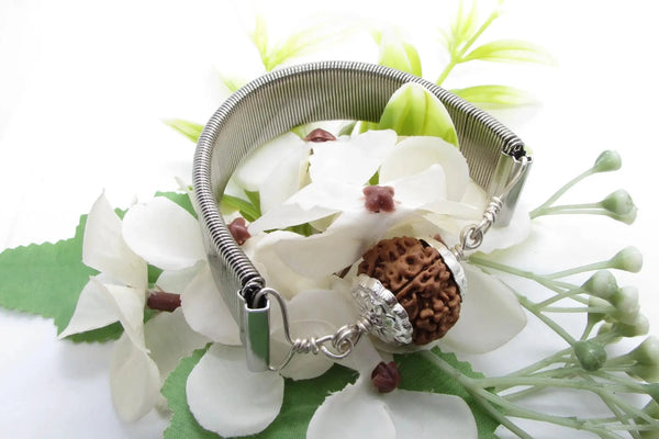 8 Mukhi Rudraksh Bracelet & Silver Pendant - Lord Ganesha's Blessings | Brahmatells by Brahmatells