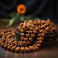 8 Mukhi Rudraksh Mala 108 Beads8 Mukhi Rudraksh Mala for Spiritual Insight & Obstacle Removal | Brahmatells by Brahmatells