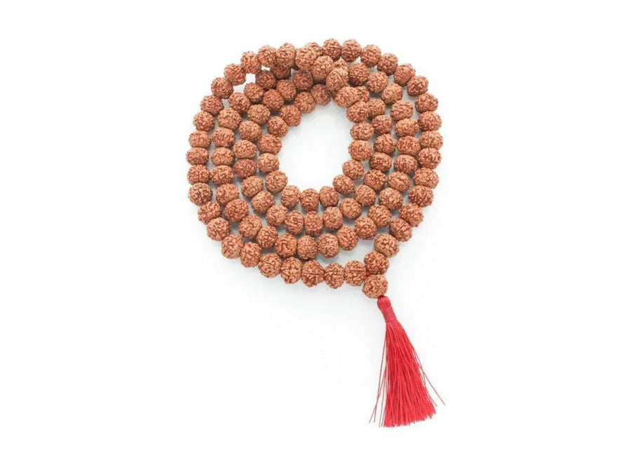 8 Mukhi Rudraksh Mala 108 Beads8 Mukhi Rudraksh Mala for Spiritual Insight & Obstacle Removal | Brahmatells by Brahmatells