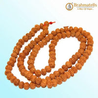 8 Mukhi Rudraksh Mala 108 Beads8 Mukhi Rudraksh Mala for Spiritual Insight & Obstacle Removal | Brahmatells by Brahmatells