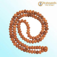 8 Mukhi Rudraksh Mala 108 Beads8 Mukhi Rudraksh Mala for Spiritual Insight & Obstacle Removal | Brahmatells by Brahmatells
