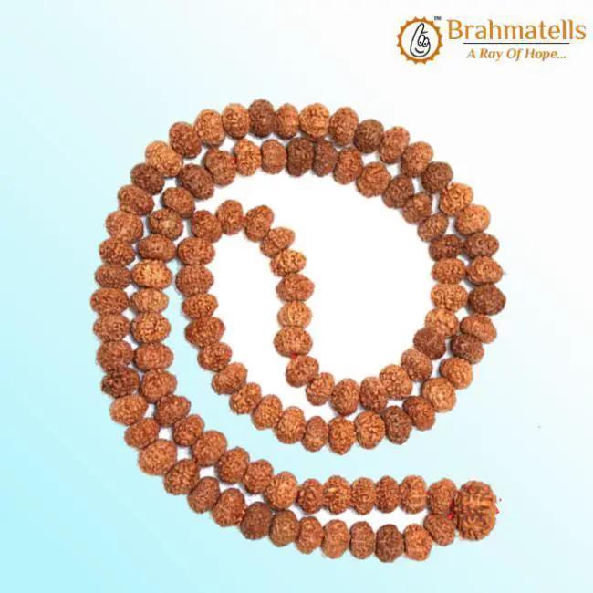 8 Mukhi Rudraksh Mala 108 Beads8 Mukhi Rudraksh Mala for Spiritual Insight & Obstacle Removal | Brahmatells by Brahmatells