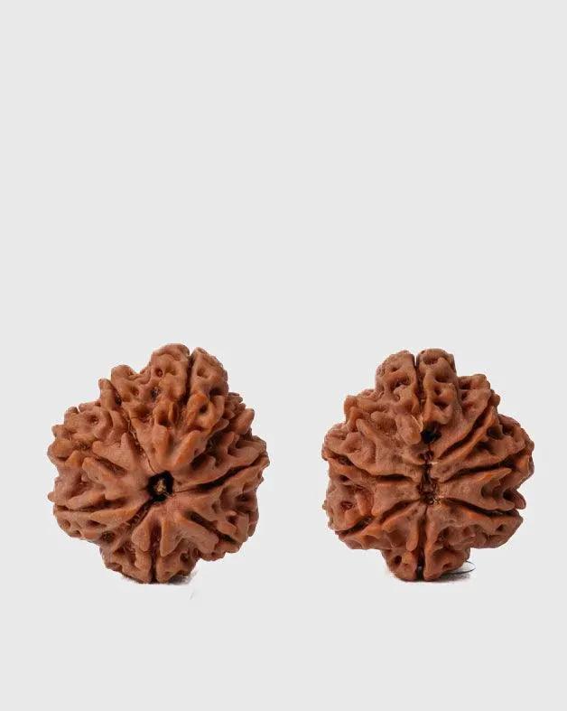 8 Mukhi Rudraksha from Nepal - Pathway to Spiritual Clarity | Brahmatells by Brahmatells