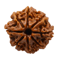 8 Mukhi Rudraksha Pendant - Lord Ganesha's Blessings for Success | Brahmatells by Brahmatells