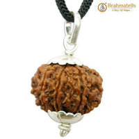 8 Mukhi Rudraksha Pendant - Lord Ganesha's Blessings for Success | Brahmatells by Brahmatells