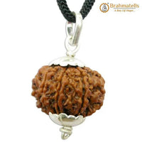 8 Mukhi Rudraksha Pendant - Lord Ganesha's Blessings for Success | Brahmatells by Brahmatells