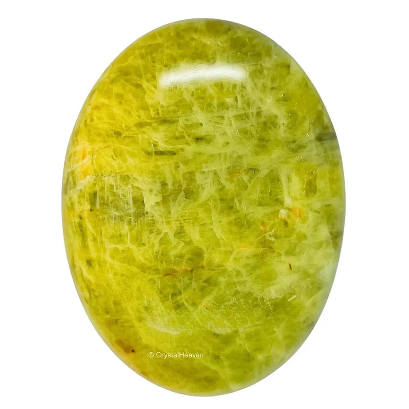 Brahmatells' AAA Grade Agate Palm Stones by Brahmatells