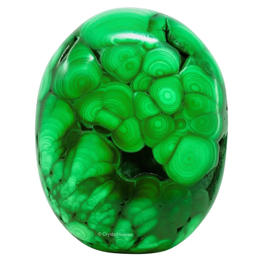 Brahmatells' AAA Grade Agate Palm Stones by Brahmatells