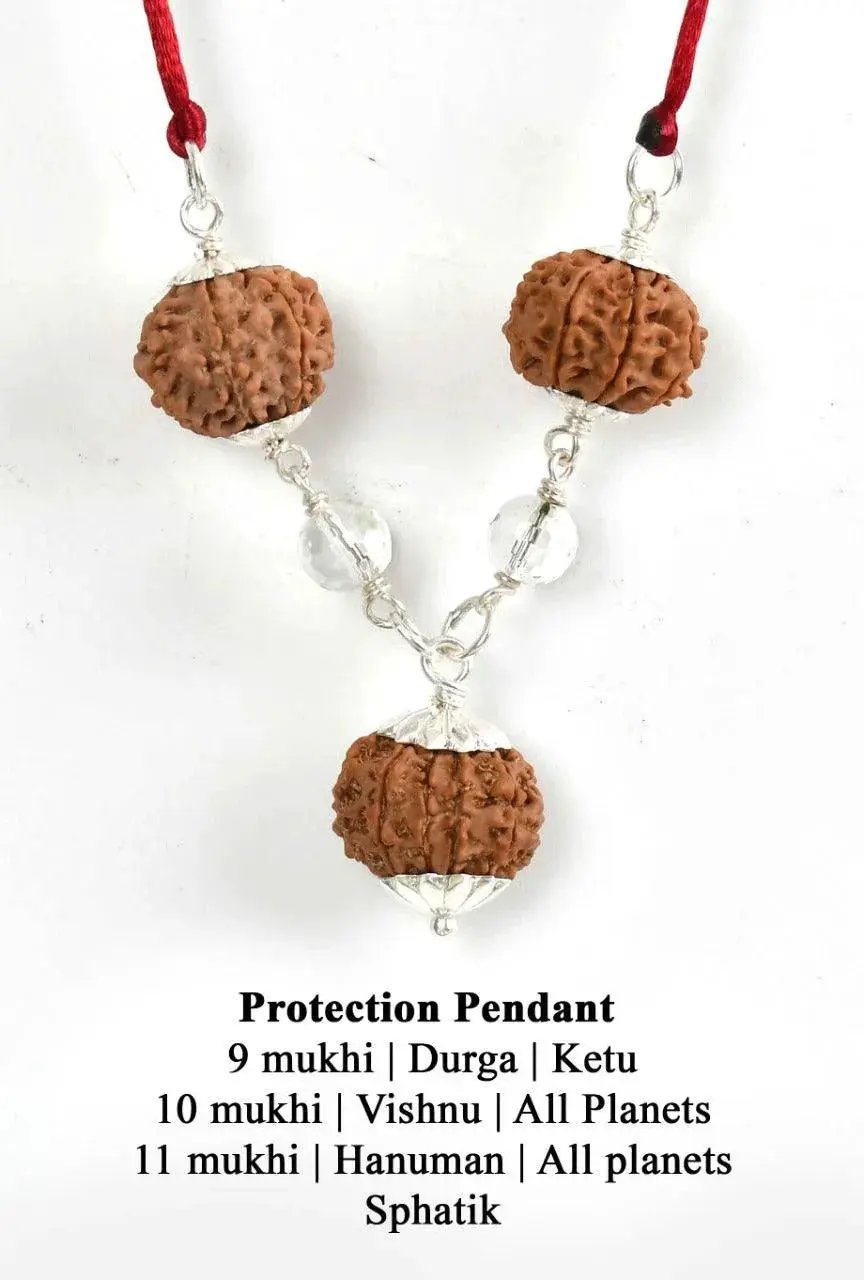 9, 10, 11 Mukhi Rudraksha Protection Pendant - Divine Shield | Brahmatells by Brahmatells