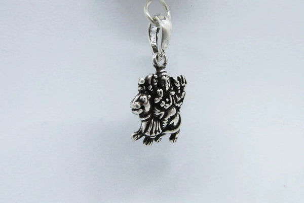 9 Mukhi Rudraksha Pendant with Durga in Silver | Brahmatells by Brahmatells