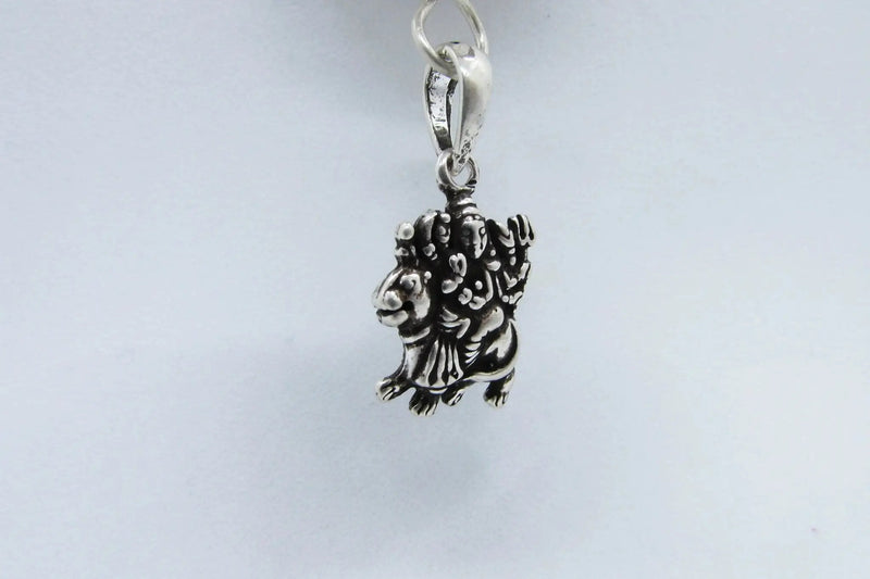 9 Mukhi Rudraksha Pendant with Durga in Silver | Brahmatells by Brahmatells