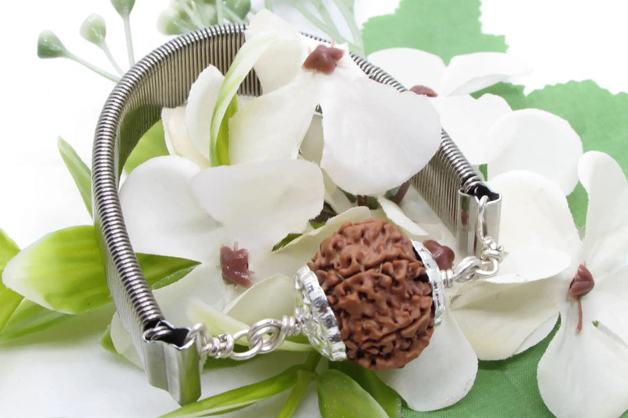 9 Mukhi Rudraksha Bracelet with Silver Pendant - Empowerment & Protection | Brahmatells by Brahmatells
