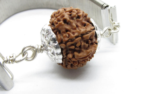 9 Mukhi Rudraksha Bracelet with Silver Pendant - Empowerment & Protection | Brahmatells by Brahmatells