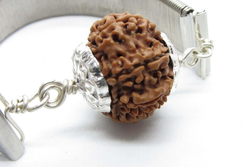 9 Mukhi Rudraksha Bracelet with Silver Pendant - Empowerment & Protection | Brahmatells by Brahmatells