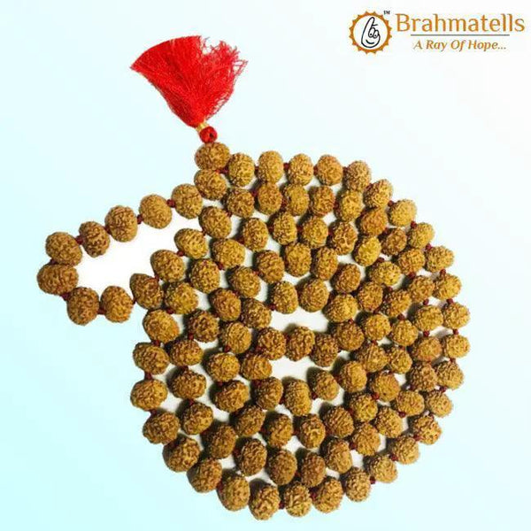 9 Mukhi Rudraksha Mala 108 Beads for Spiritual Growth | Brahmatells by Brahmatells