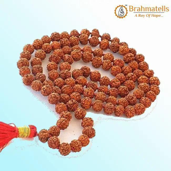 9 Mukhi Rudraksha Mala 108 Beads for Spiritual Growth | Brahmatells by Brahmatells