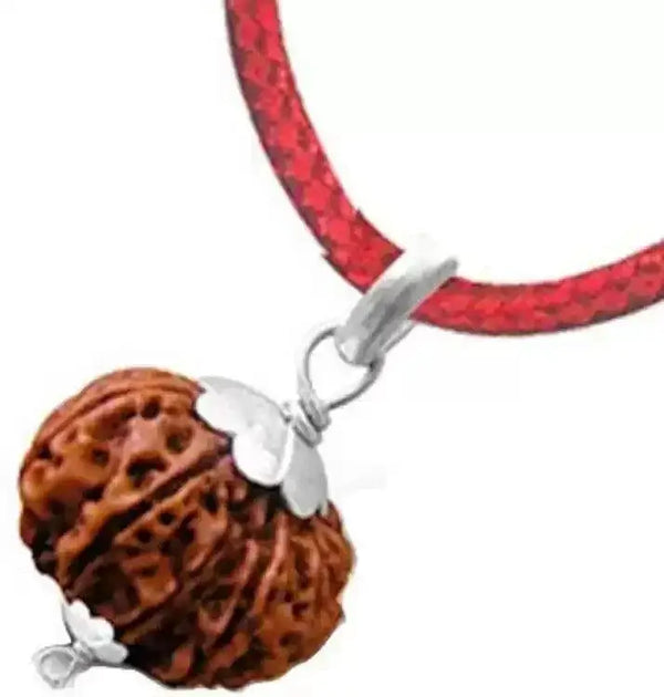 9 Mukhi Rudraksha Pendant - Harness Navdurga's Strength | Brahmatells by Brahmatells